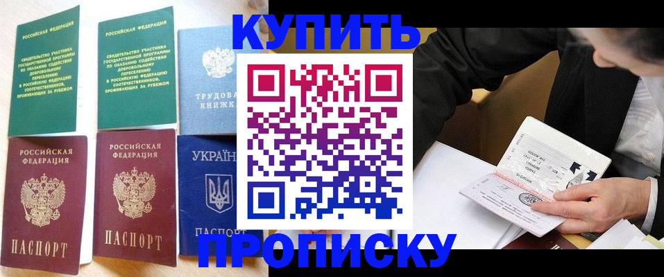прописка для школы в Ельне